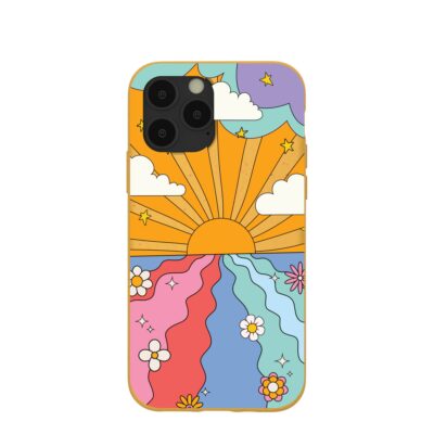 Honey Into the Sunset iPhone 11 Pro Case