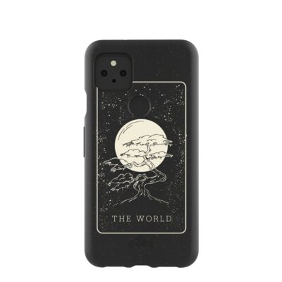 Black The World Google Pixel 5 Case